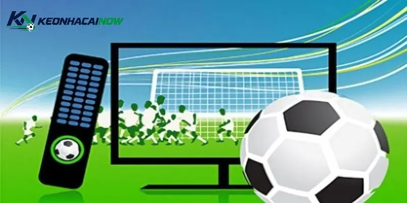 Kèo Live Là Gì - Cách Đọc Tỷ Lệ Trực Tiếp Chính Xác