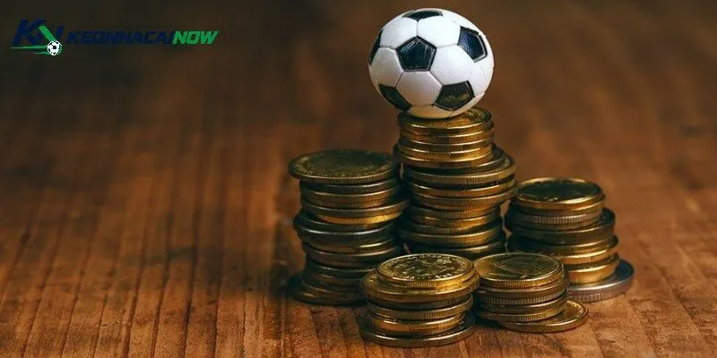 Odds Là Gì - Cách Đọc Tỷ Lệ Cược Và So Sánh Chính Xác