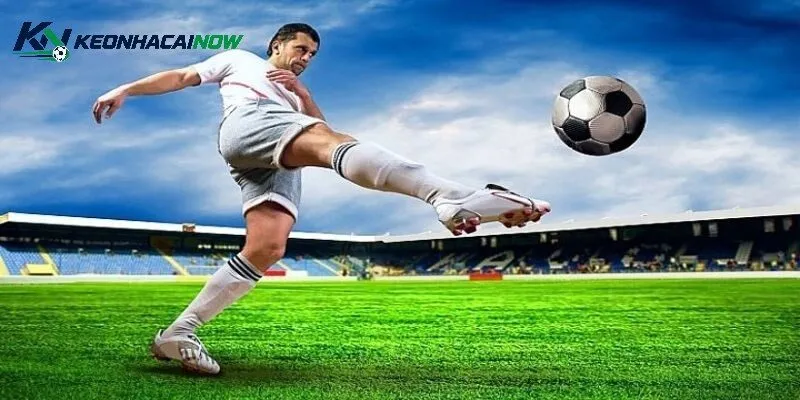 Ví dụ cho thấy cách đọc tỷ lệ kèo